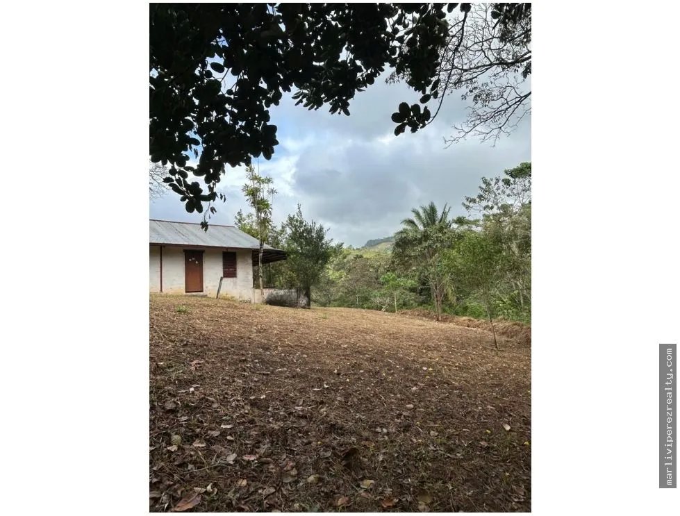 Farm for Sale in El Cacao, Capira, Panama Oeste