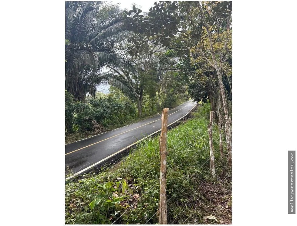 Farm for Sale in El Cacao, Capira, Panama Oeste