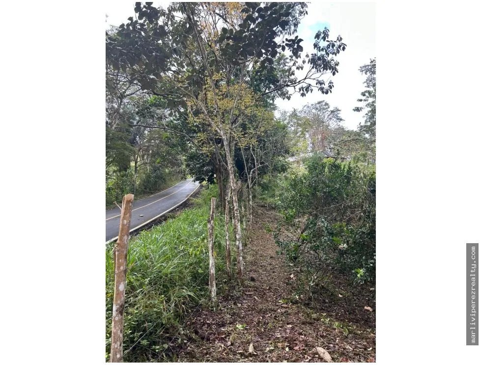Farm for Sale in El Cacao, Capira, Panama Oeste