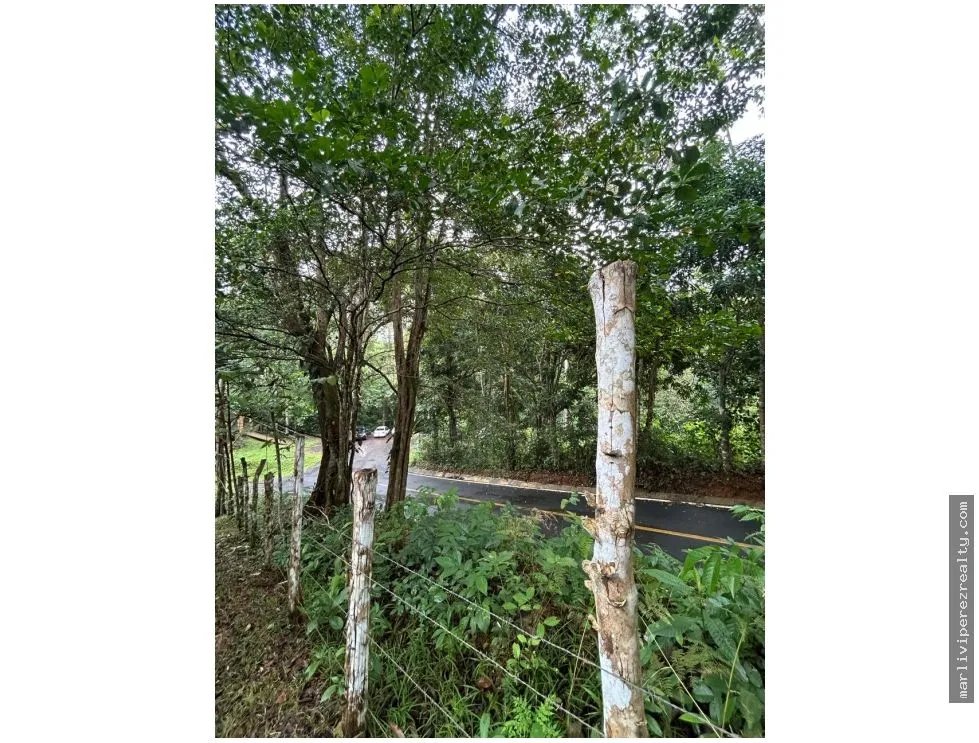 Farm for Sale in El Cacao, Capira, Panama Oeste