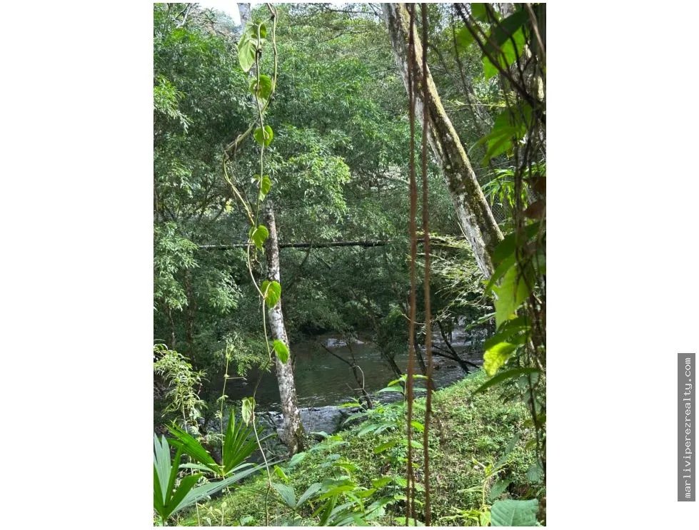 Farm for Sale in El Cacao, Capira, Panama Oeste