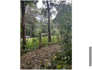 Farm for Sale in El Cacao, Capira, Panama Oeste