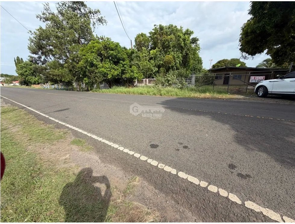 CASA COMERCIAL / CHORRERA /1200M  CERCA DE MERCADO ALQUILER O VENTA