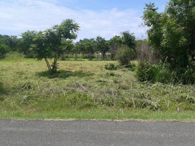 15748 - Punta chame - lots