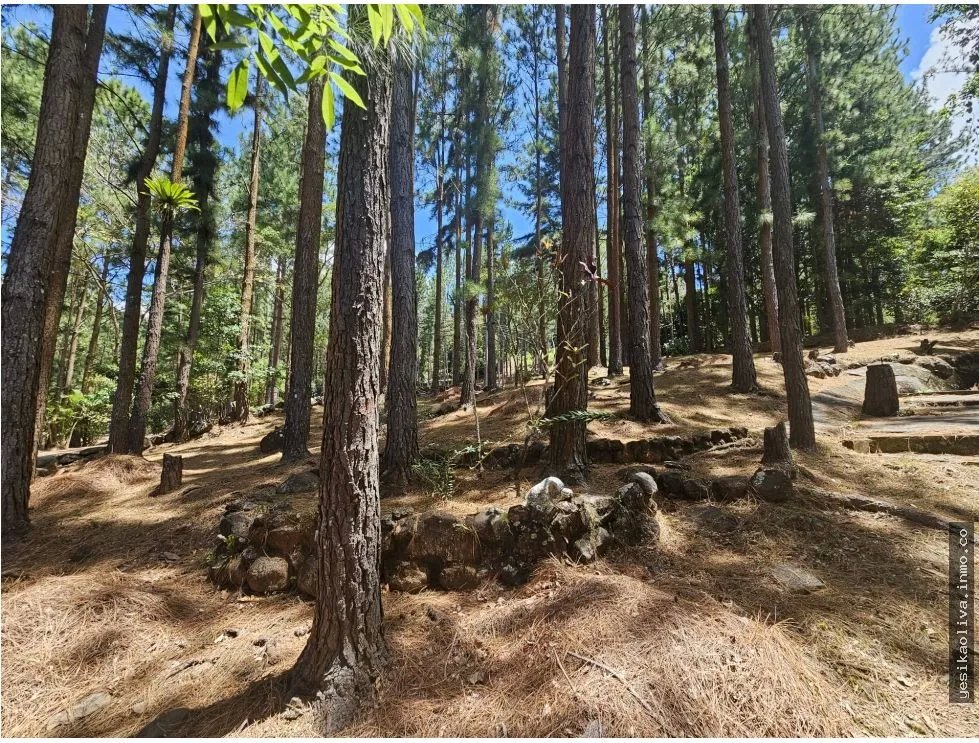 VENTA DE TERRENO EN ALTOS DE MARIA