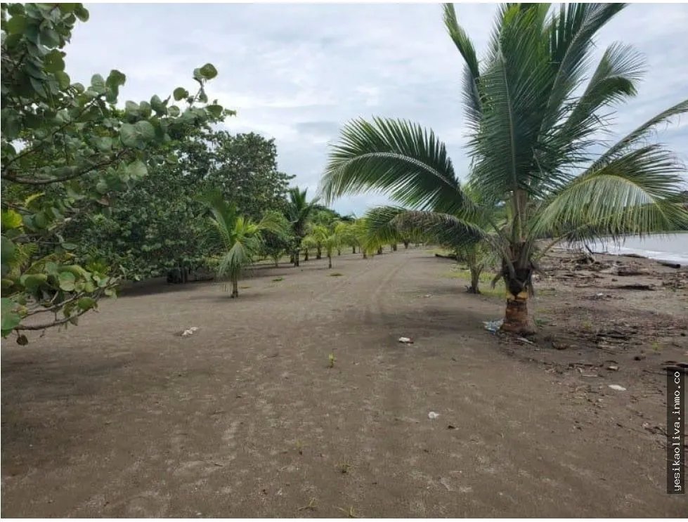 VENTA DE TERRENO EN COLON, NOMBRE DE DIOS