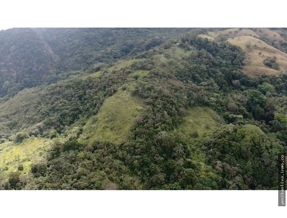 LAND SALE IN ALTOS DE MARIA