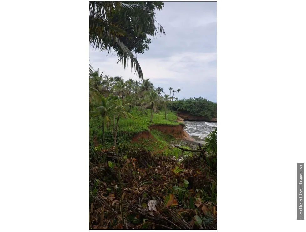 VENTA DE TERRENO DE PLAYA EN COLON PALMAS BELLAS