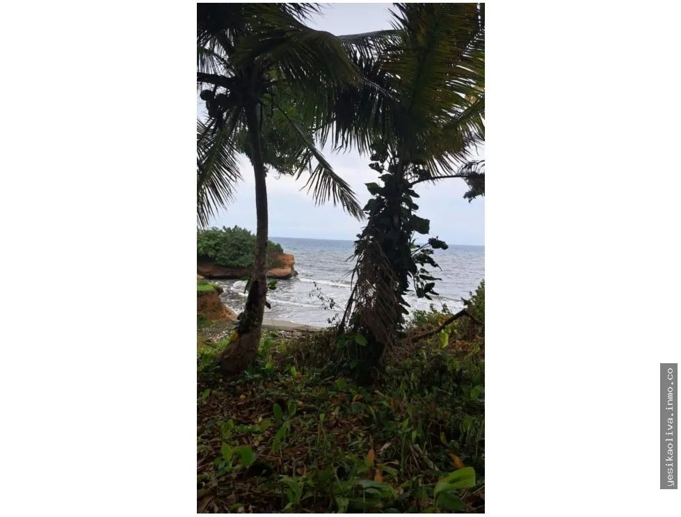 VENTA DE TERRENO DE PLAYA EN COLON PALMAS BELLAS