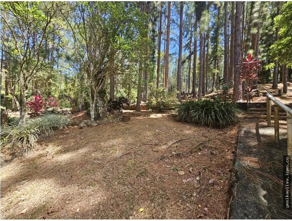 LAND SALE IN ALTOS DE MARIA