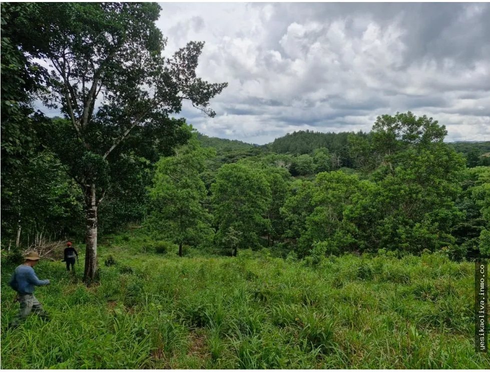 Venta de Terreno en Penonome