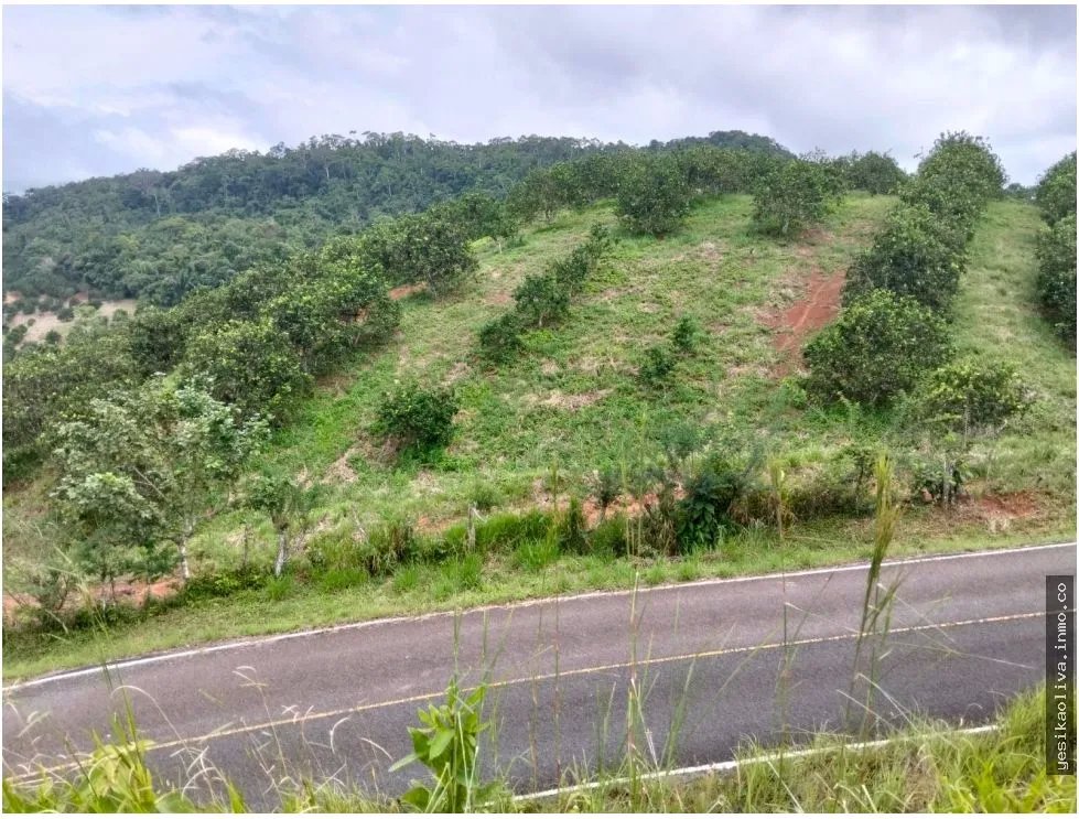 Venta de Terreno en Penonome