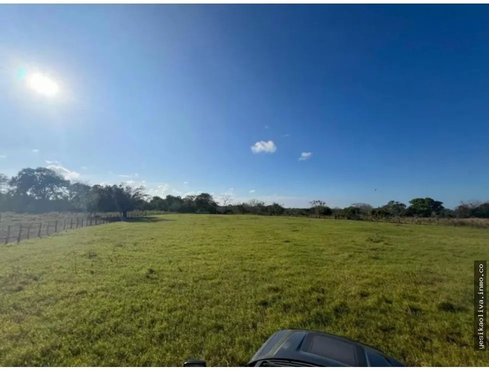 Land Sale in Pedasí
