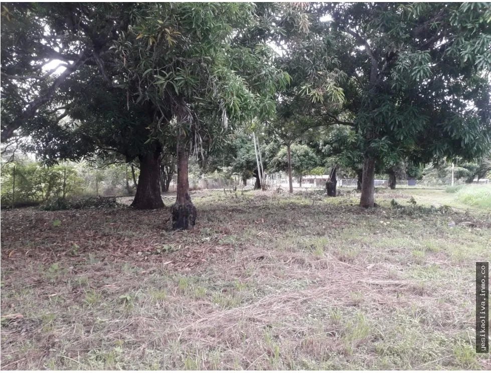 Land Sale in Gorgona