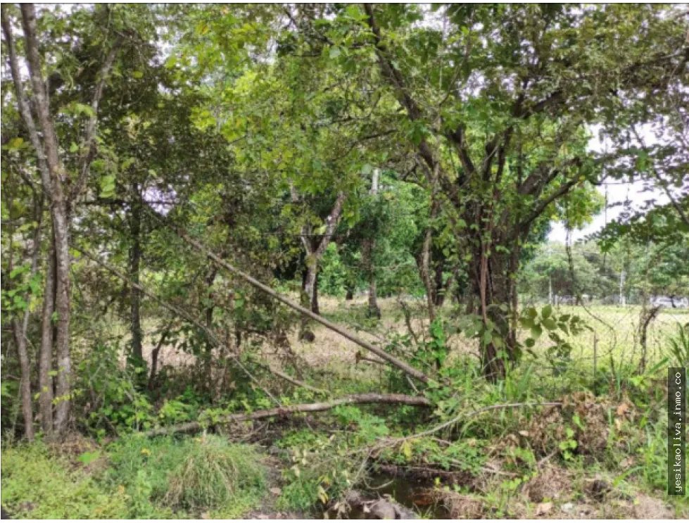 Land Sale in Gorgona