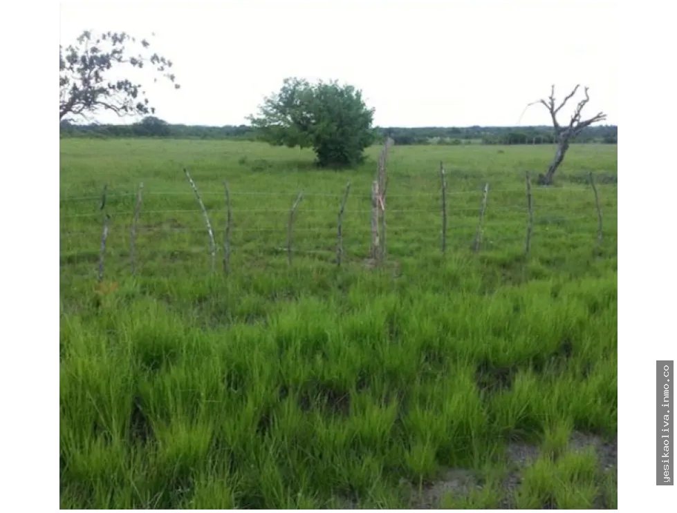 Land Sale in Penonomé, Coclé