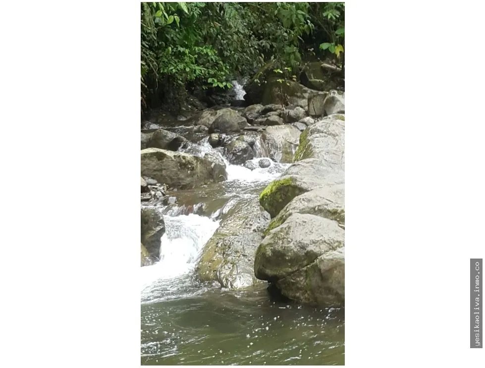 Sale of Farm in Changuinola, Bocas Del Toro