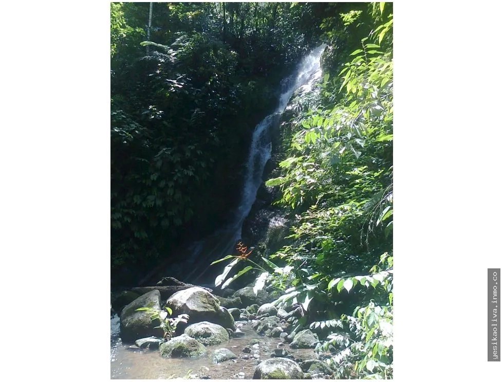 Sale of Farm in Changuinola, Bocas Del Toro