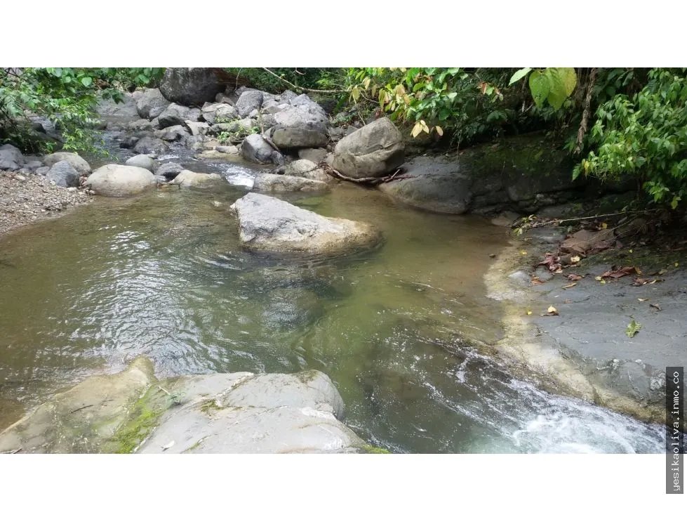 Sale of Farm in Changuinola, Bocas Del Toro