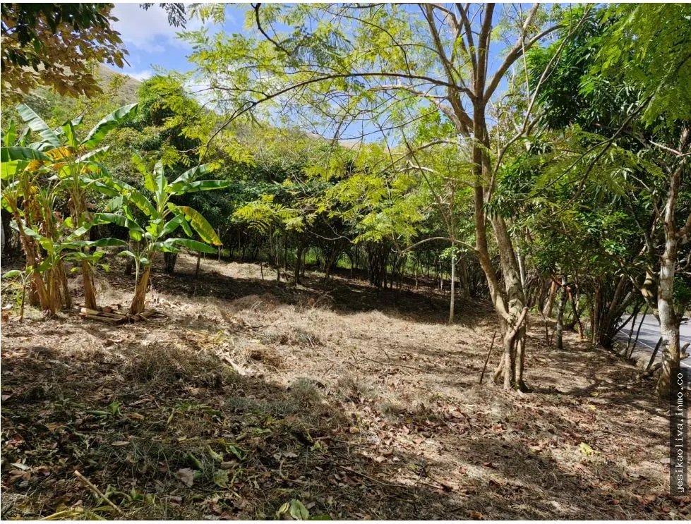 Land Sale in Penonomé