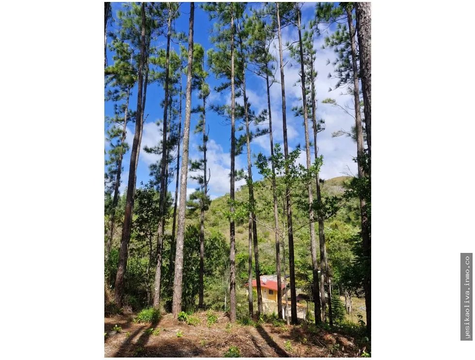 Land Sale in Penonomé