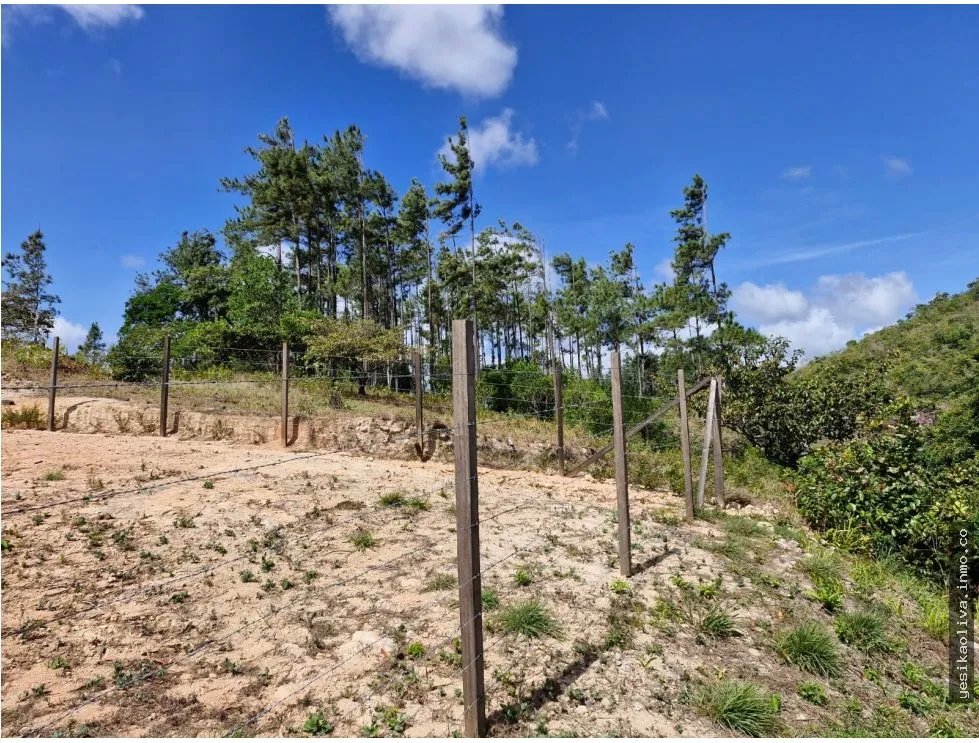 Land Sale in Penonomé