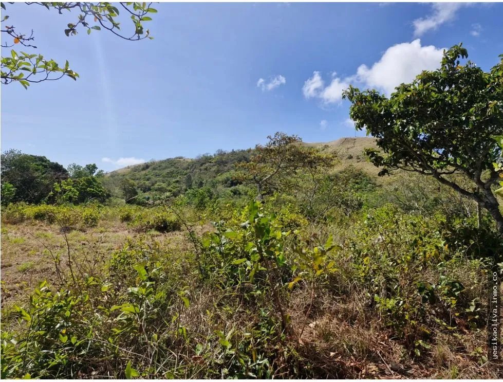 Land Sale in Penonomé