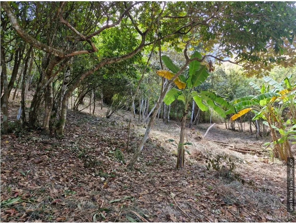 Land Sale in Penonomé