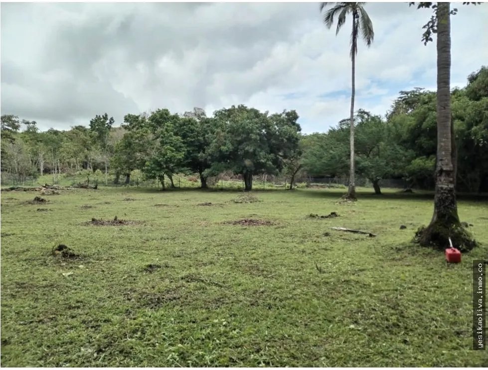 Land for Sale in Antón