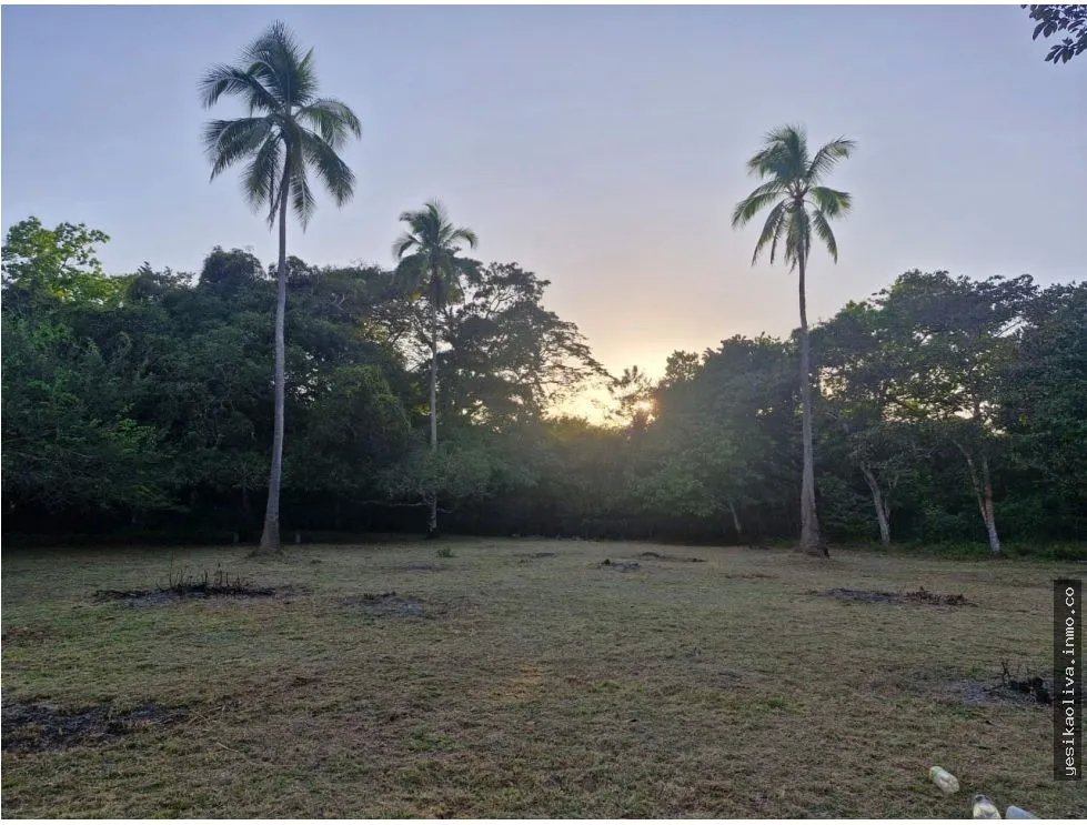 Land for Sale in Antón
