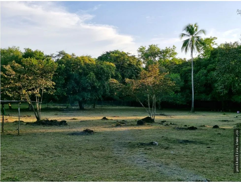 Land for Sale in Antón