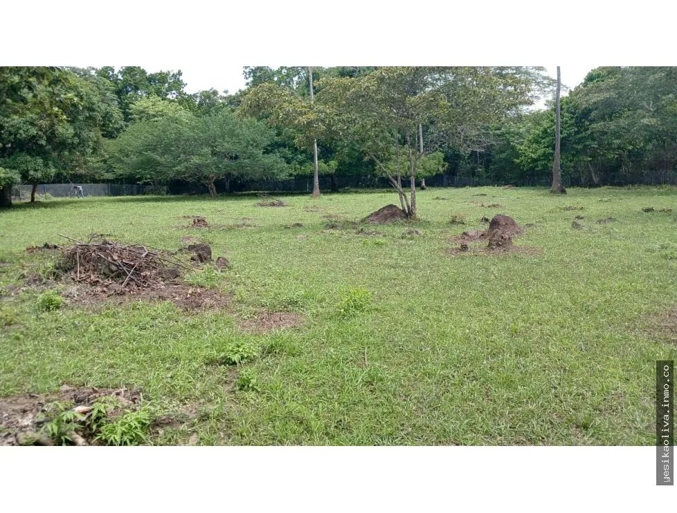 Land for Sale in Antón