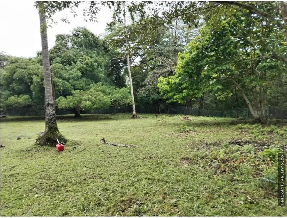 Land for Sale in Antón
