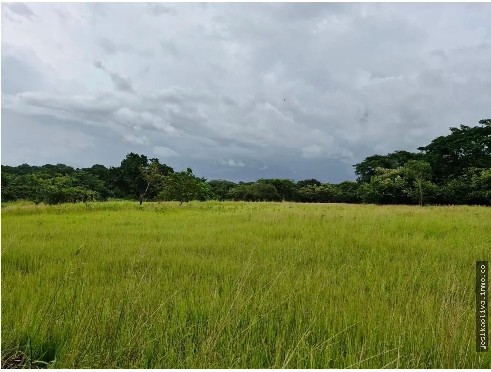 Land Sale in Antón