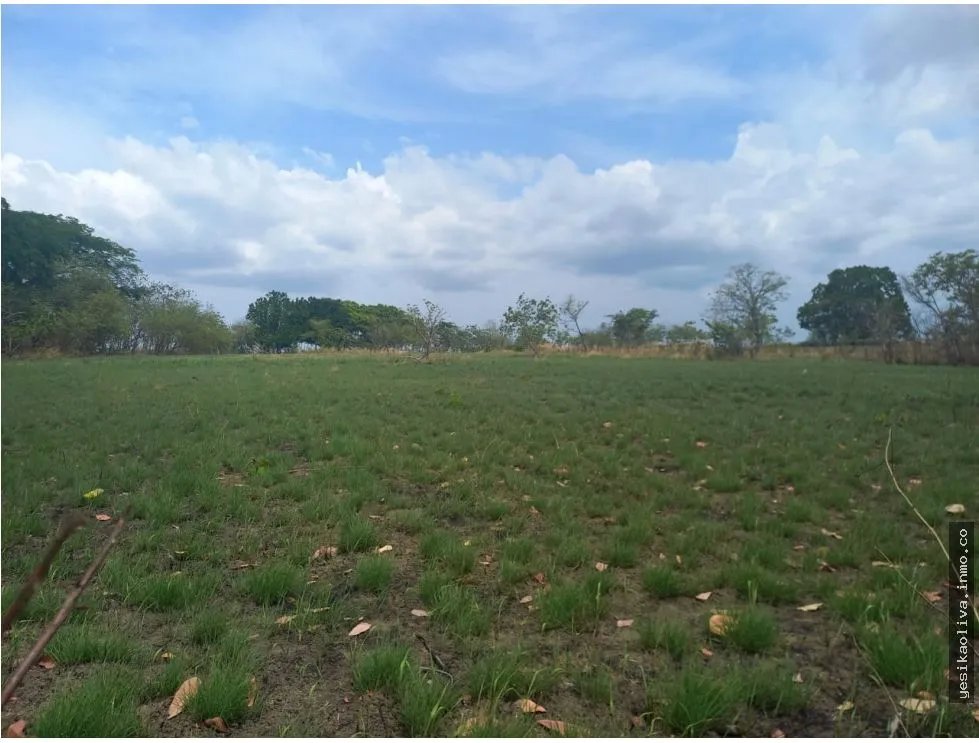 Land Sale in Antón