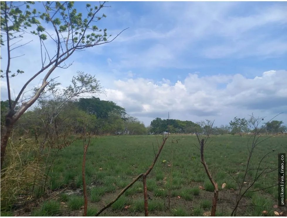 Land Sale in Antón