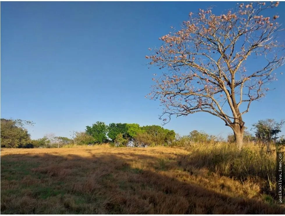 Land Sale in Antón