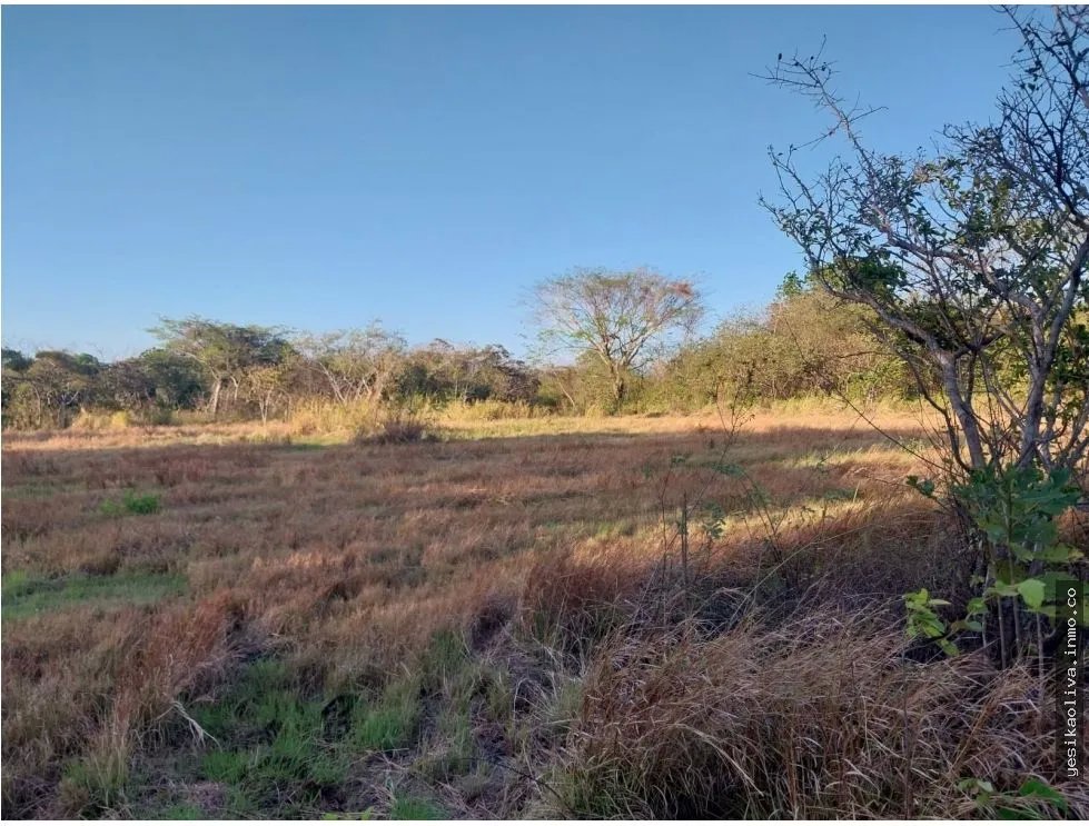 Land Sale in Antón