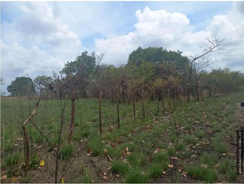 Land Sale in Antón