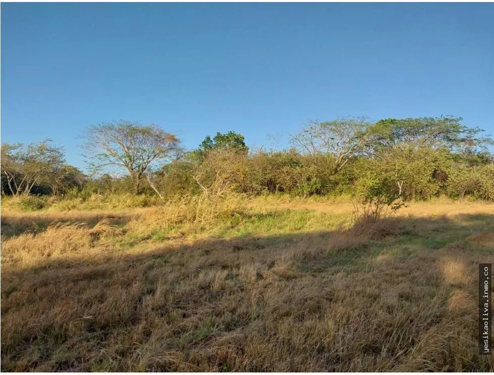 Land Sale in Antón