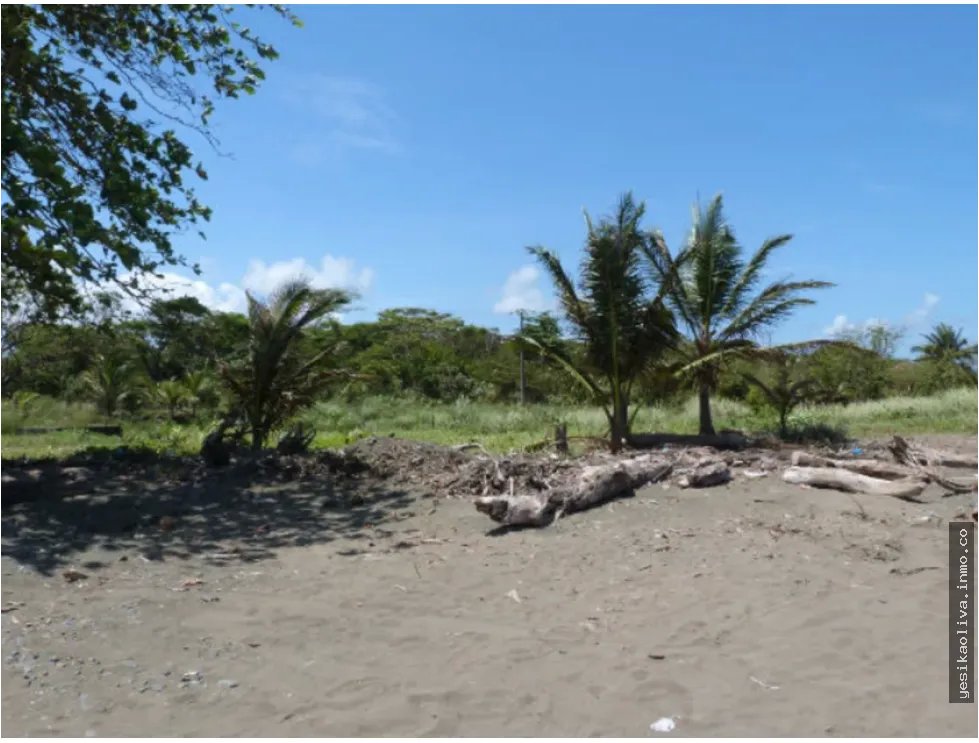 Land Sale (Beach) Colón