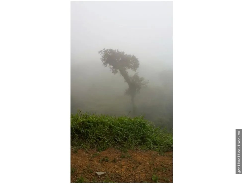 Venta de Terreno Altos Maria