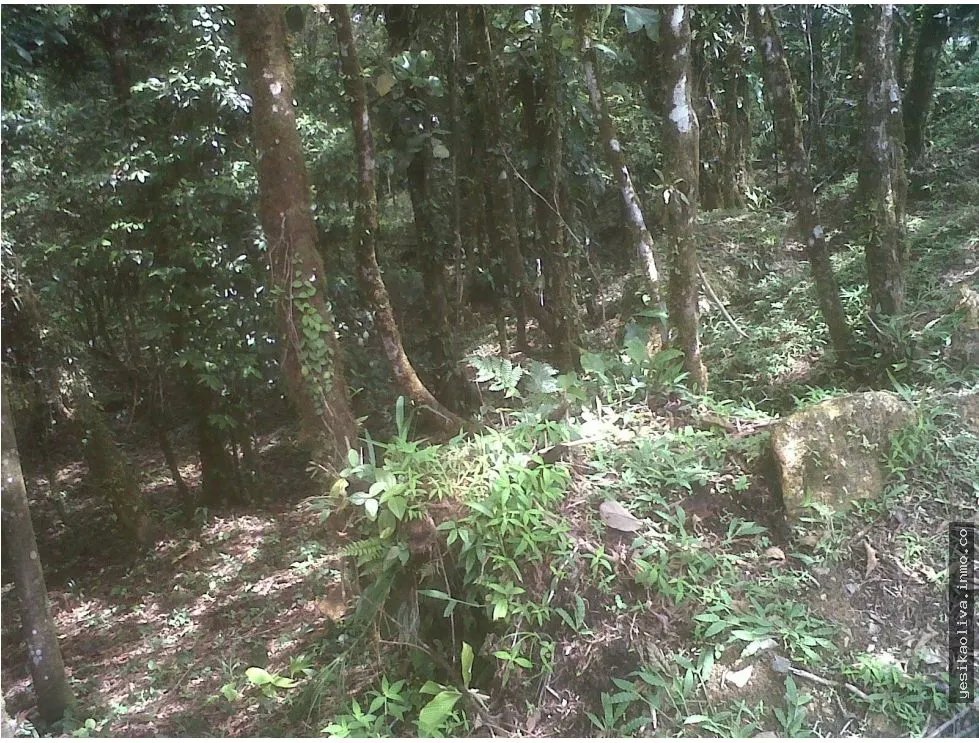 Venta de Terreno Altos Maria