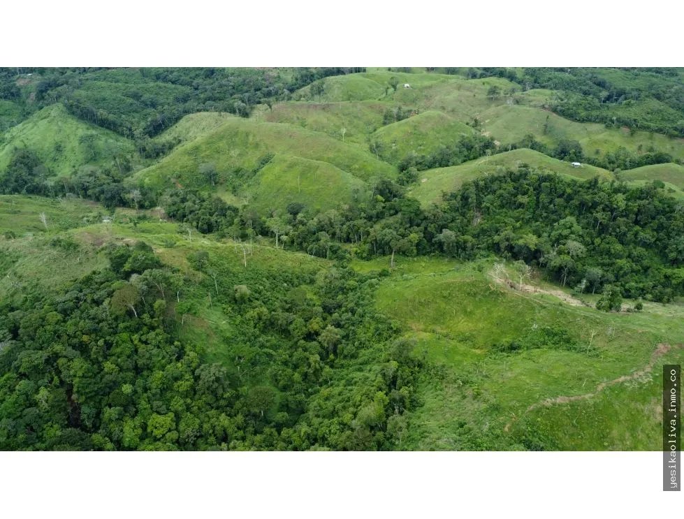 Land Sale in Tonosí