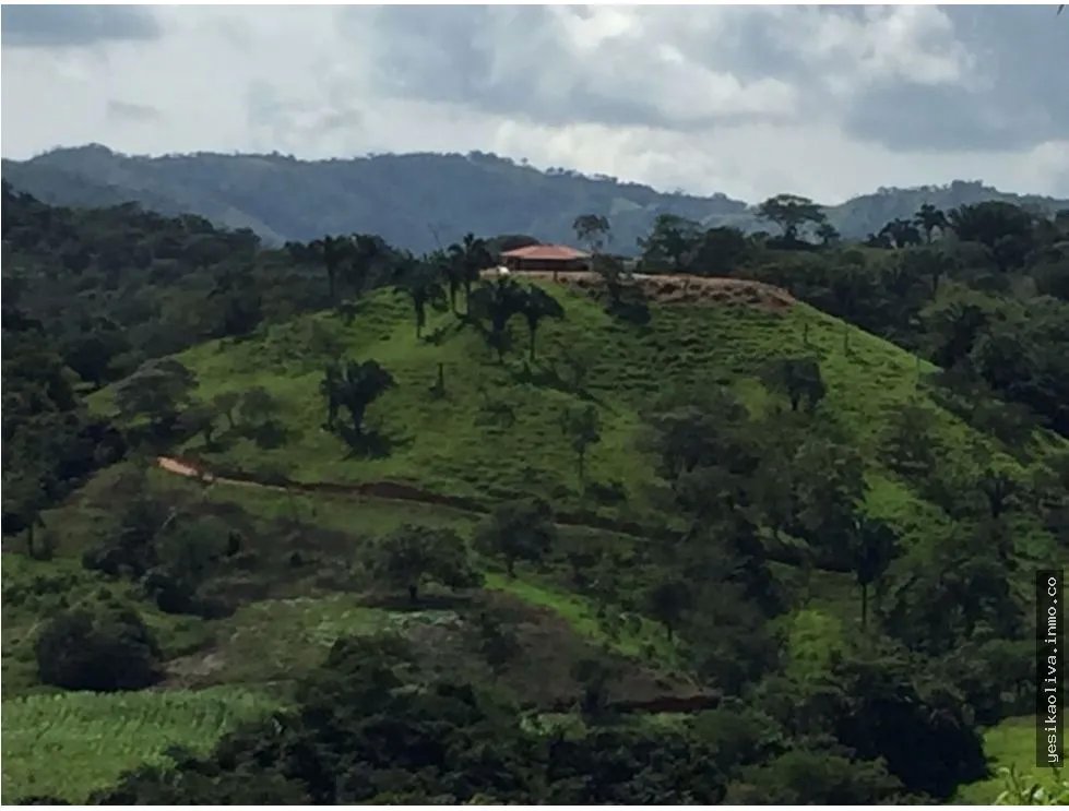 Venta de Finca en Cative, Veraguas