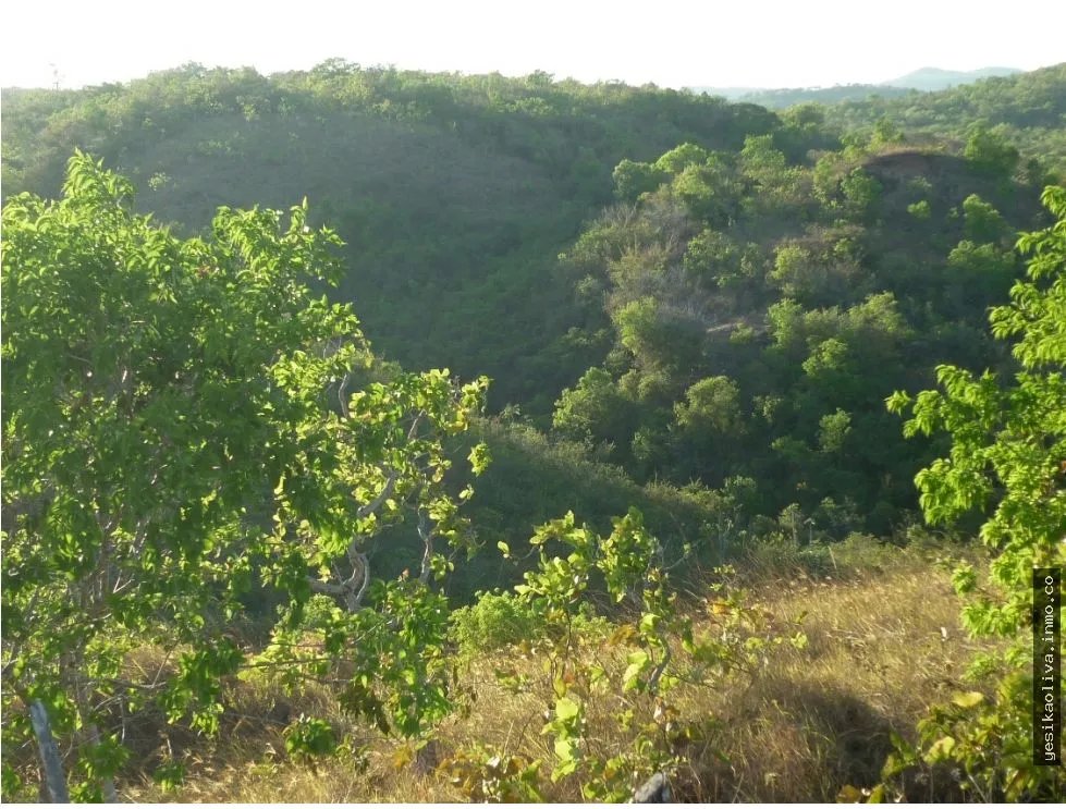 Venta de Terreno en Calobre