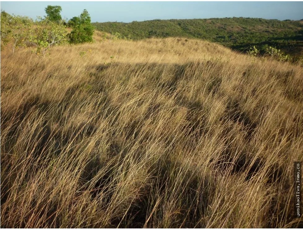 Venta de Terreno en Calobre