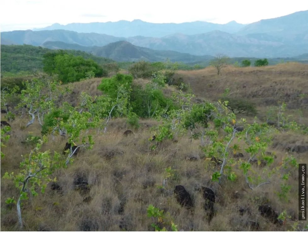 Venta de Terreno en Calobre