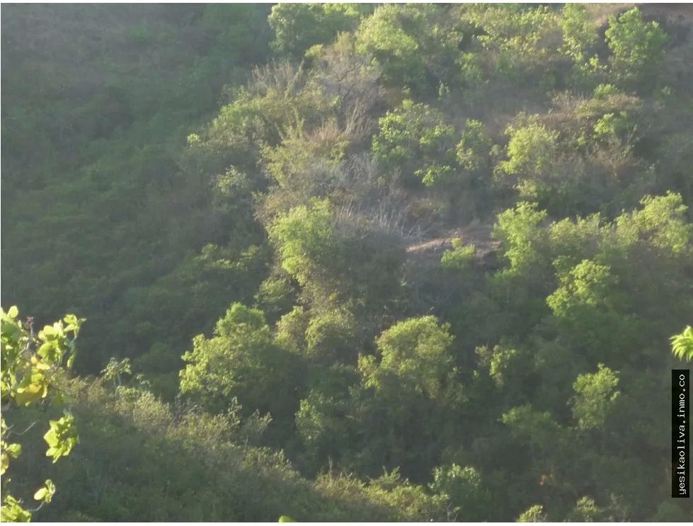 Venta de Terreno en Calobre
