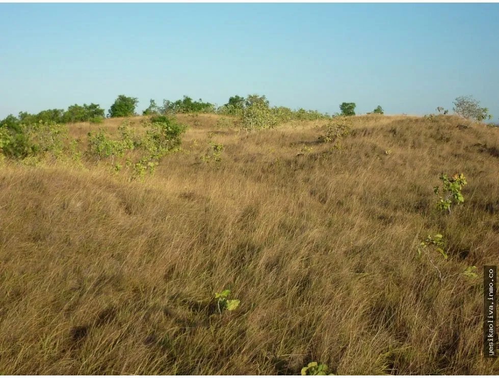 Venta de Terreno en Calobre